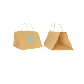 COLORED SAFARI PAPER BAG WITH TWISTED HANDLES
