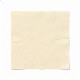 Papier de soie luxueux livré en paquet de ± 470 feuilles.