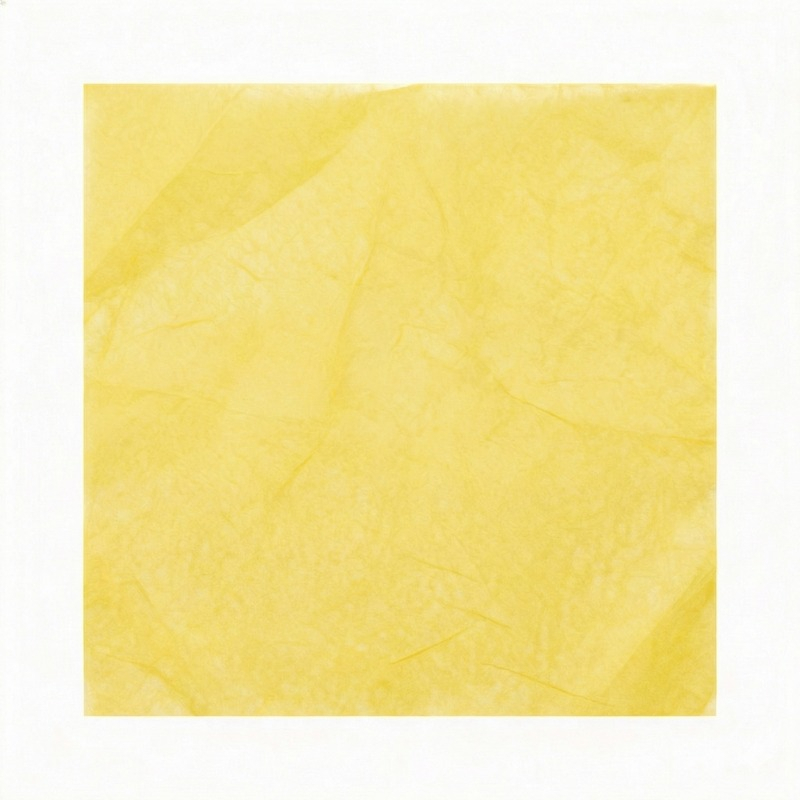Papier de soie luxueux livré en paquet de ± 470 feuilles.