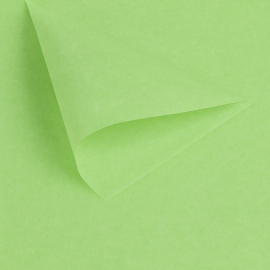 Luxurious Silkpaper delivered by racks of ± 470 sheets.