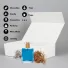WONDERBOX | 44X30X12 CM | LUXURY BOX