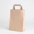 PAPER BAG FLAT HANDLE | 18X08X25