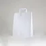 SAC PAPIERPOIGNÉE PLATE | 26X11X35