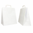 PAPER BAG FLAT HANDLE | 28x17x32 - Box | Centuryprint