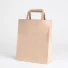 PAPER BAG FLAT HANDLE | 45X15X50