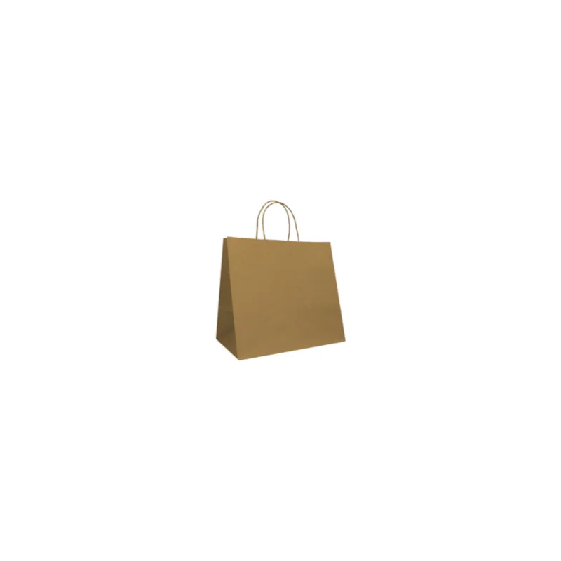 SAC PAPIER POIGNÉE TORSADÉES| 32x23x35 - Sac papier personnalisé Sa...