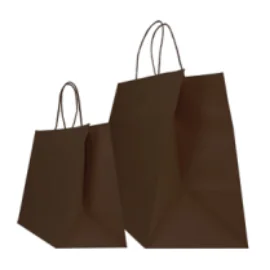 SAC PAPIER POIGNÉE TORSADÉES| 28x17x29 - Sac papier personnalisé Sa...