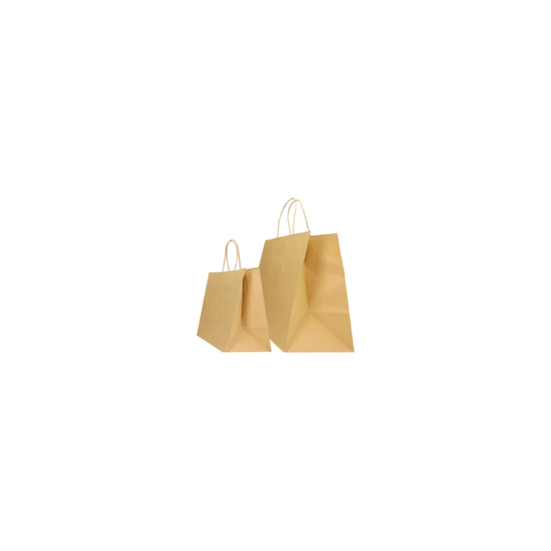 PAPER BAG TWISTED HANDLES| 32x23x35 - Personalized shopping bag Saf...