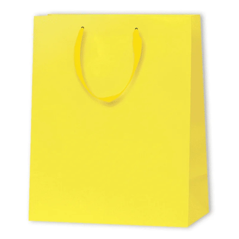 SAC PAPIER MAT LUX | 26x12,7x32,4 - Sac papier personnalisé Nobless...