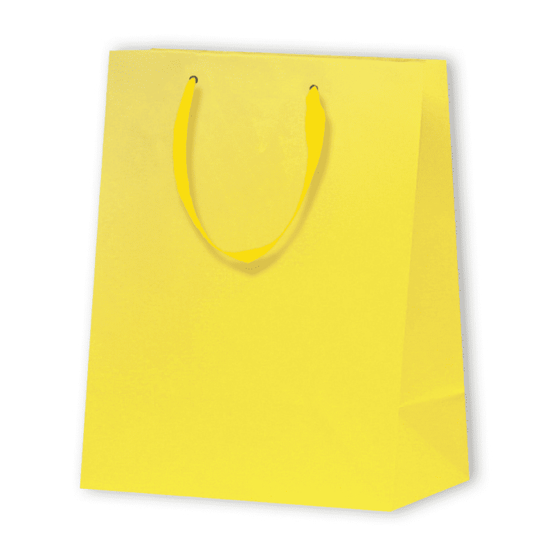 SAC PAPIER MAT LUX | 17,8x9,8x22,9 - Sac papier personnalisé Nobles...
