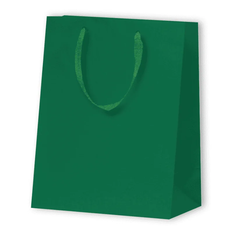 SAC PAPIER MAT LUX | 17,8x9,8x22,9 - Sac papier personnalisé Nobles...