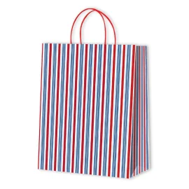 SAC PAPIER À MOTIFS LIGNÉS | 17,8x9,8x22,9 - Sacs à motif | Century...