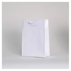 copy of NOBLESSE BAG IN LUXURY LAMINATED PAPER - Laminated Noblesse...