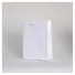 copy of NOBLESSE BAG IN LUXURY LAMINATED PAPER - Laminated Noblesse...