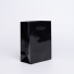 copy of NOBLESSE BAG IN LUXURY LAMINATED PAPER - Laminated Noblesse...