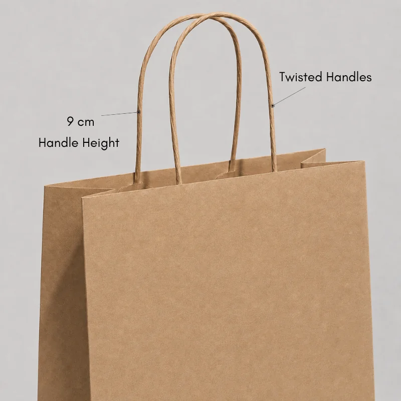 SAC EN PAPIER À POIGNÉE TORSIALE | 30 x 22 x 10 cm - Home | Century...
