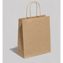 SAC EN PAPIER À POIGNÉE TORSIALE | 30 x 22 x 10 cm - Home | Century...