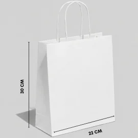 SAC EN PAPIER À POIGNÉE TORSIALE | 30 x 22 x 10 cm - Home | Century...