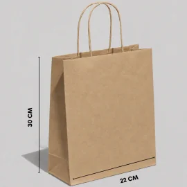 TWISTED HANDLE PAPER BAG | 30X22X10 CM | FULL PRINT | PACK OF 25 - ...