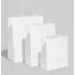 TWISTED-HANDLE PAPER BAG | 22.5x19x8 cm | FULL PRINT | PACKS OF 25 ...