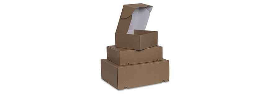 Customizable Kraft Postpack